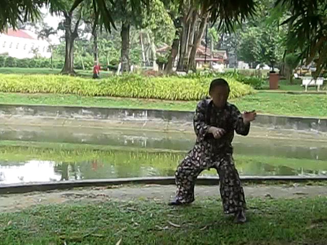 Shaolin 72 Chin-Na Techniques 2015